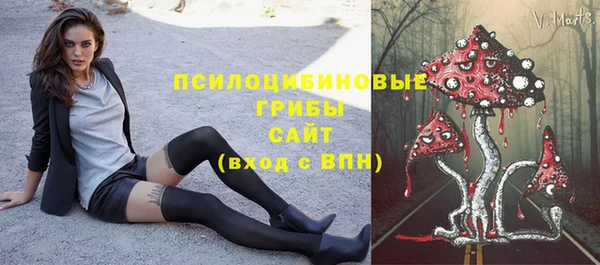 ГАЛЛЮЦИНОГЕННЫЕ ГРИБЫ Арсеньев