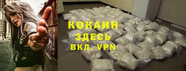 дмт Аркадак
