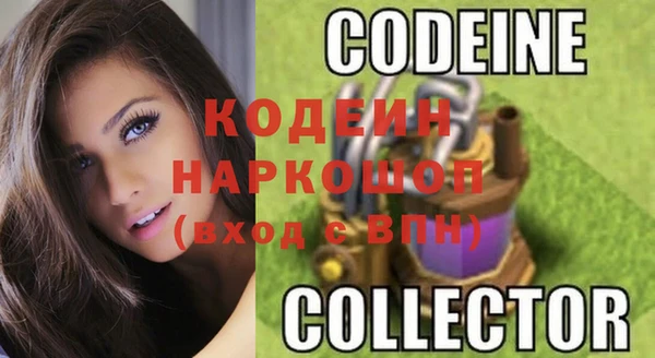 ГАЛЛЮЦИНОГЕННЫЕ ГРИБЫ Арсеньев