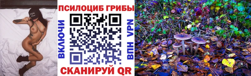 Псилоцибиновые грибы Cubensis как найти mega ONION Георгиевск